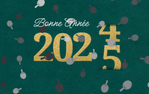 Meilleurs voeux 2025